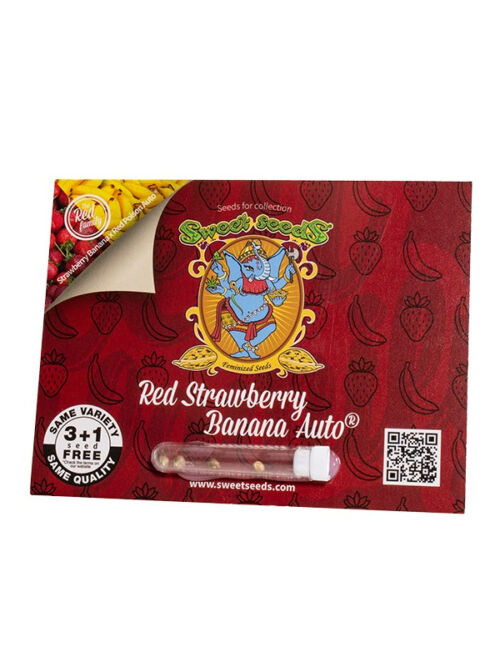 Red Strawberry Banana Auto Sweet Seeds nasiona marihuany