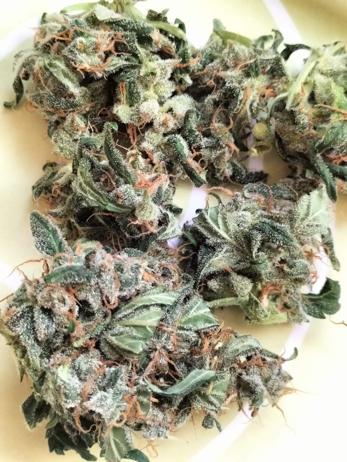 Haze