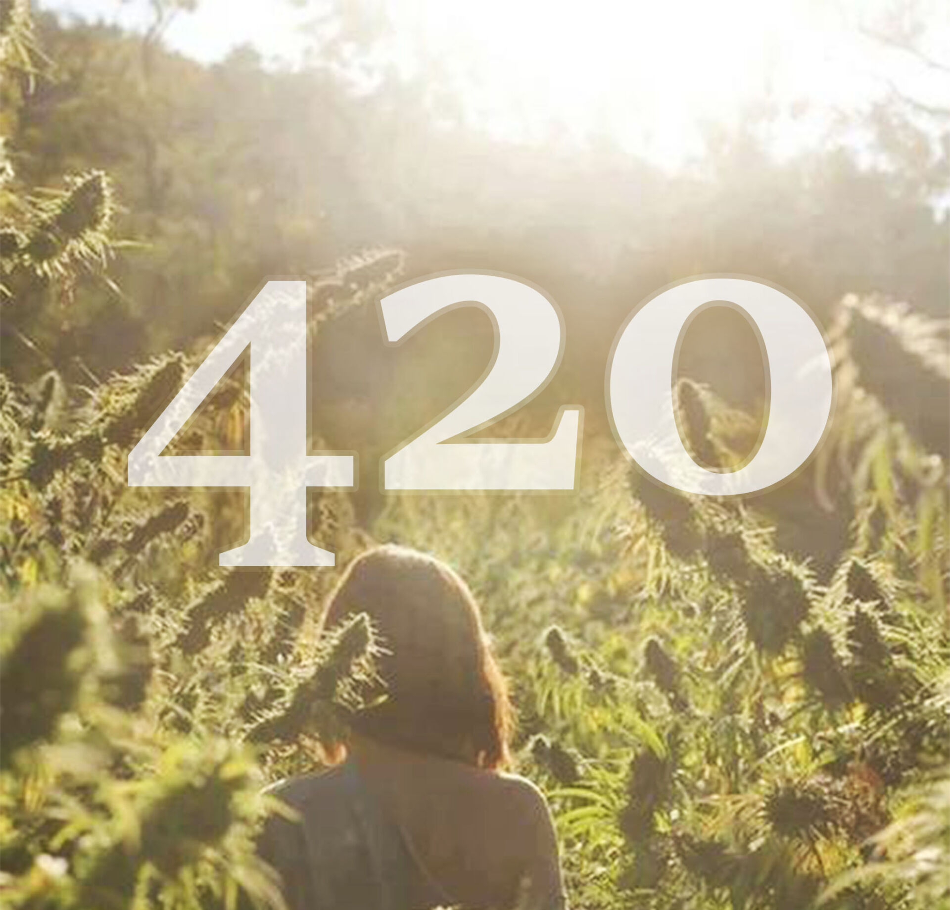 420 świeto marihuany