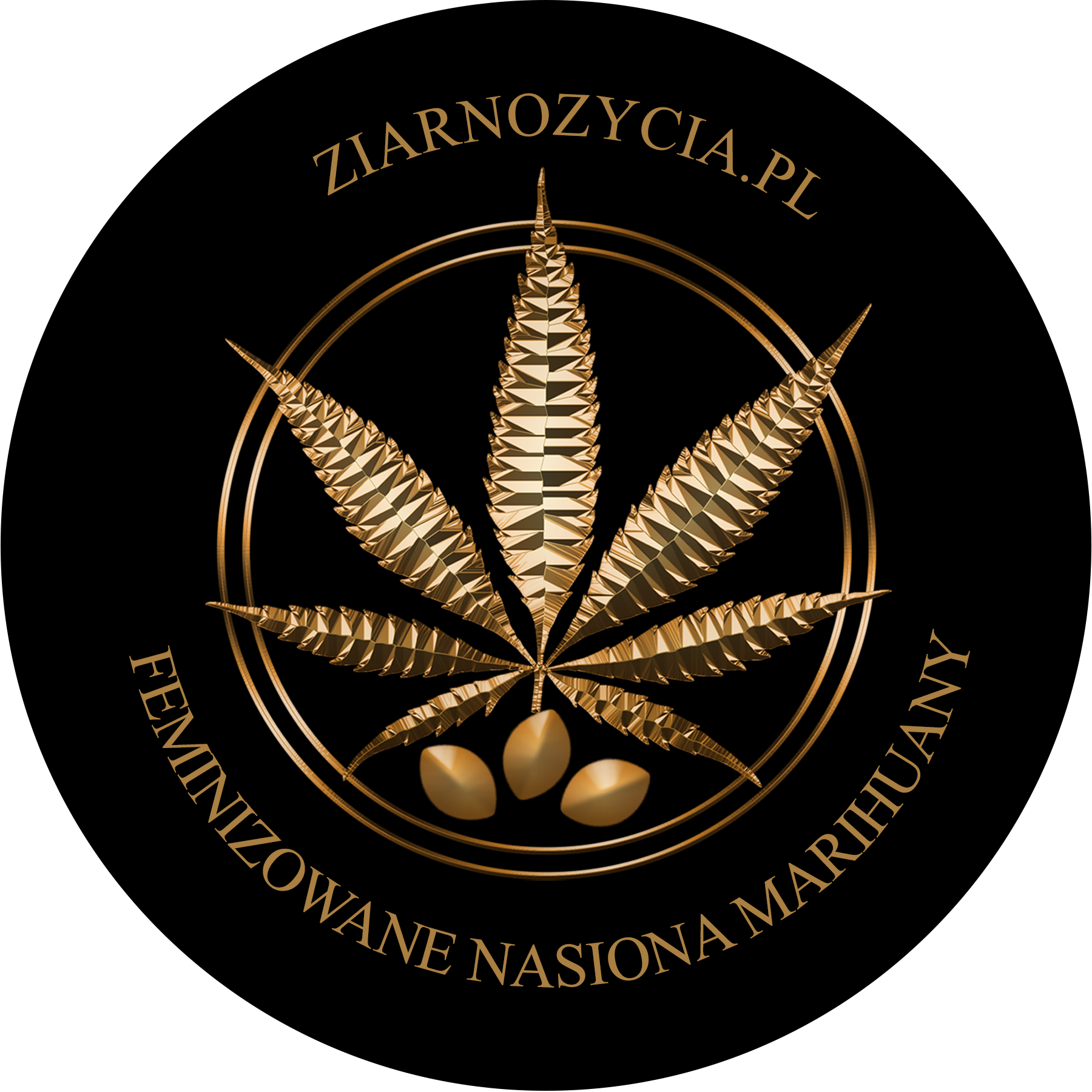 Ziarno Życia logo Ziarno Życia logo