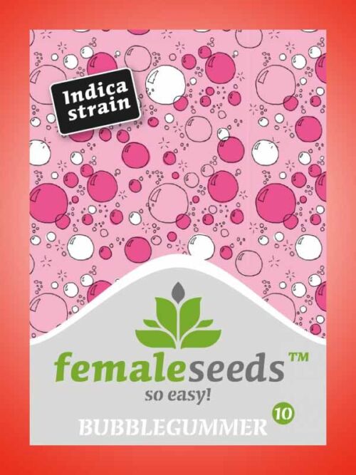 Bubblegummer Female Seeds Paket