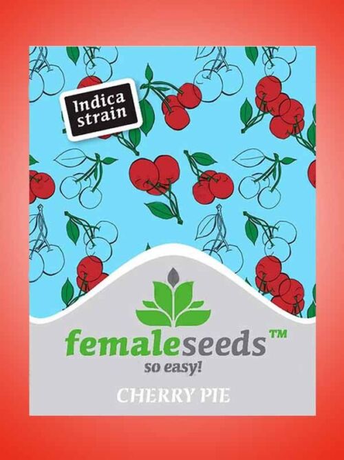 Cherry Pie Female Seeds Opakowanie