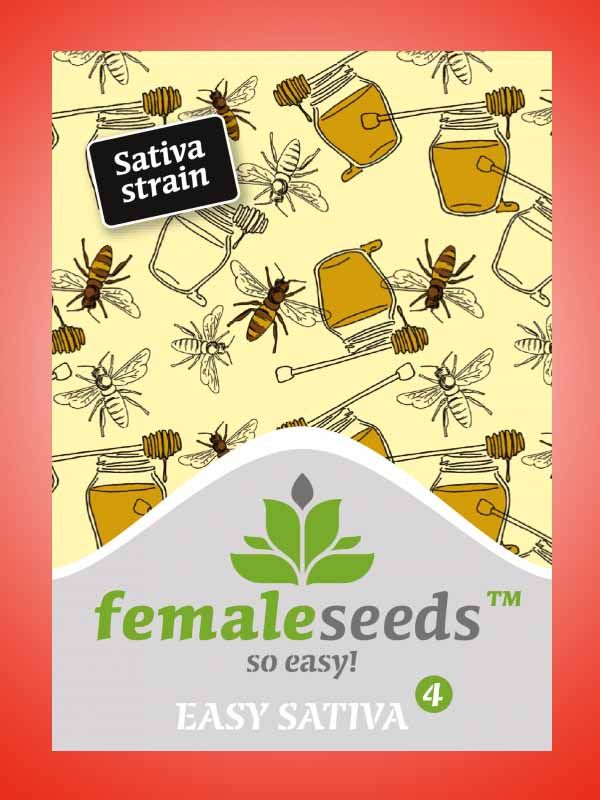 Easy Sativa Female Seeds Paket