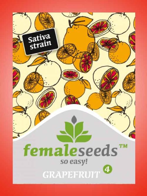 Grapefruit Female Seeds Paket