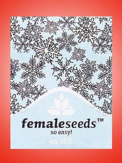 ICE Female Seeds Opakowanie