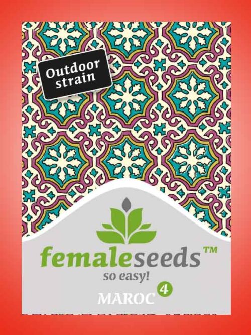 Maroc Female Seeds Opakowanie