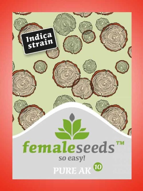 Pure AK Female Seeds Paket