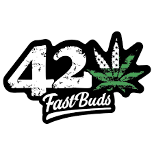 Producent Fast Buds