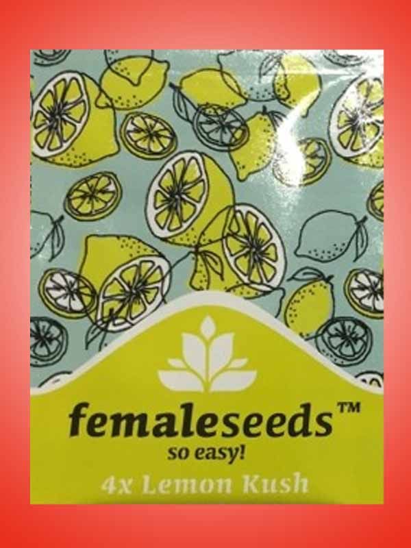 Lemon Kush Female Seeds Paket