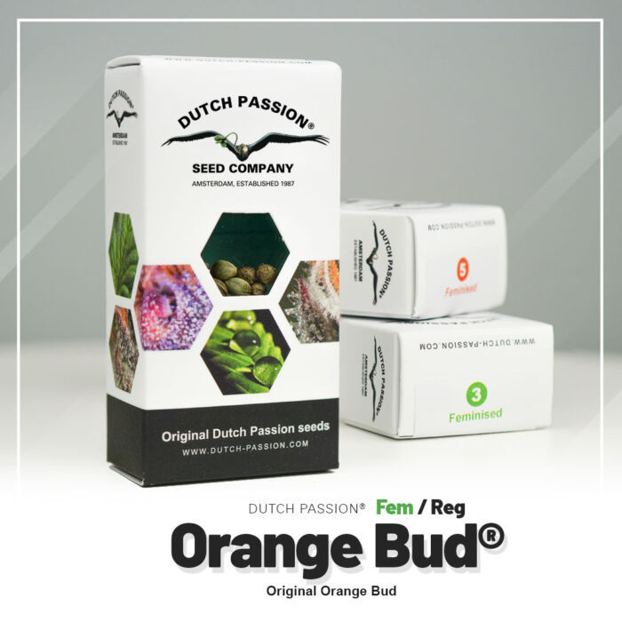 Orange Bud Dutch Passion neue Verpackung