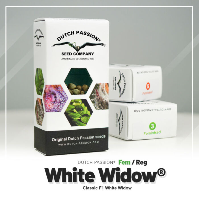 White Widow Dutch Passion Paket