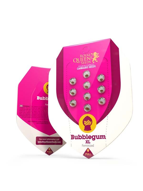 Bubblegum XL Paket