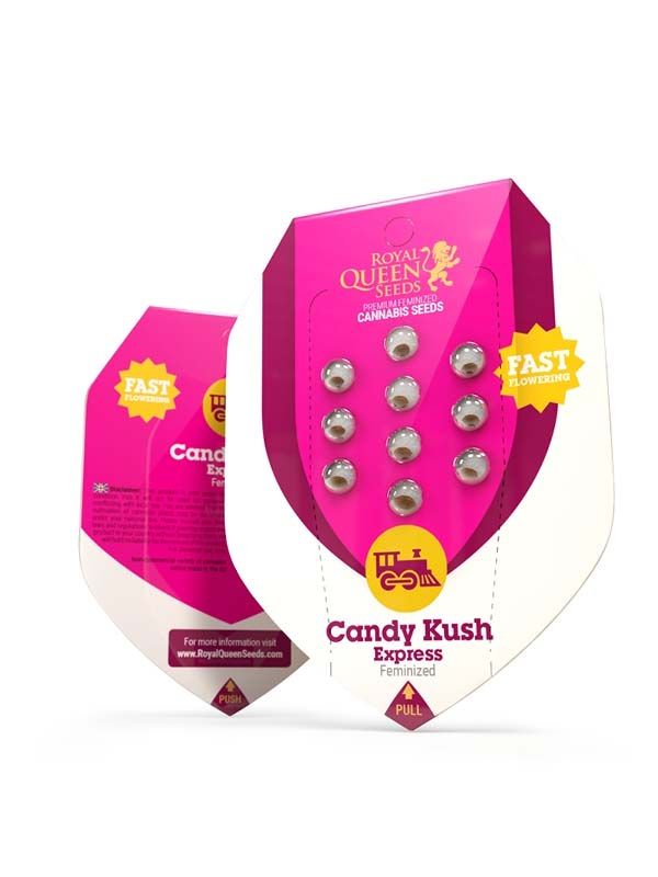 Candy Kush Express Schnell blühende Verpackung