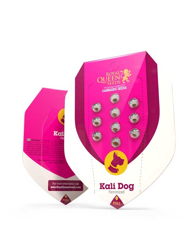 Kali Dog RQS Paket