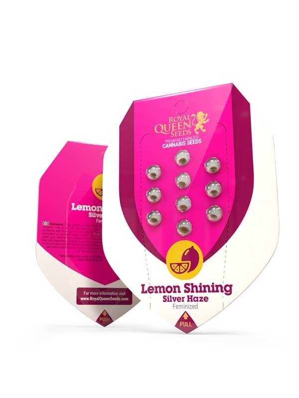 Lemon Shining Silver Haze Paket