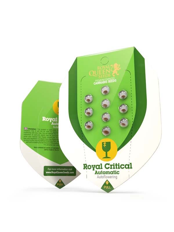 Royal Critical Automatisch verpackt