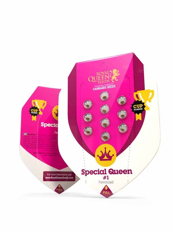 Special Queen 1 Paket