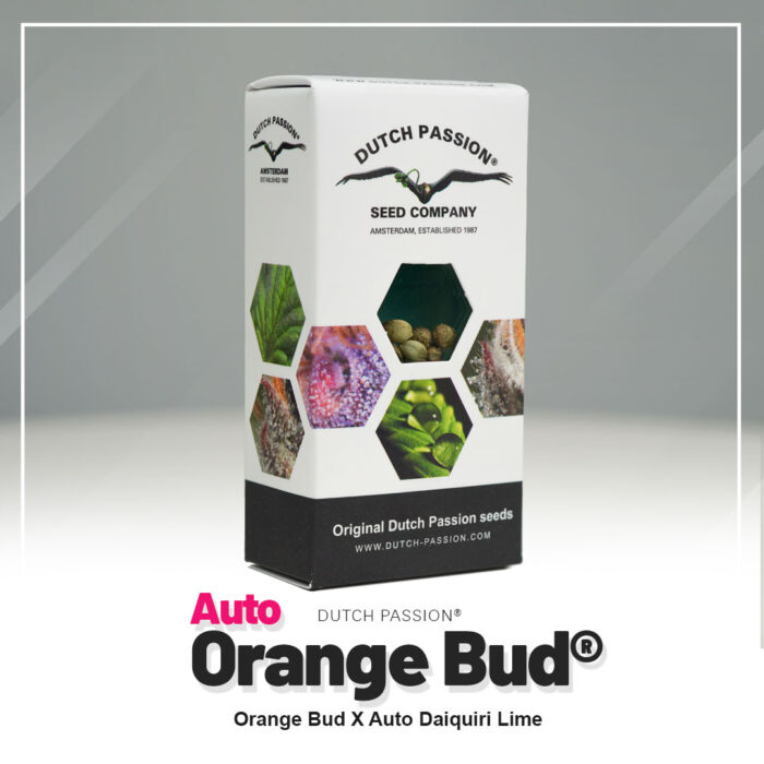 Auto Orange Bud Dutch Passion neue Verpackung