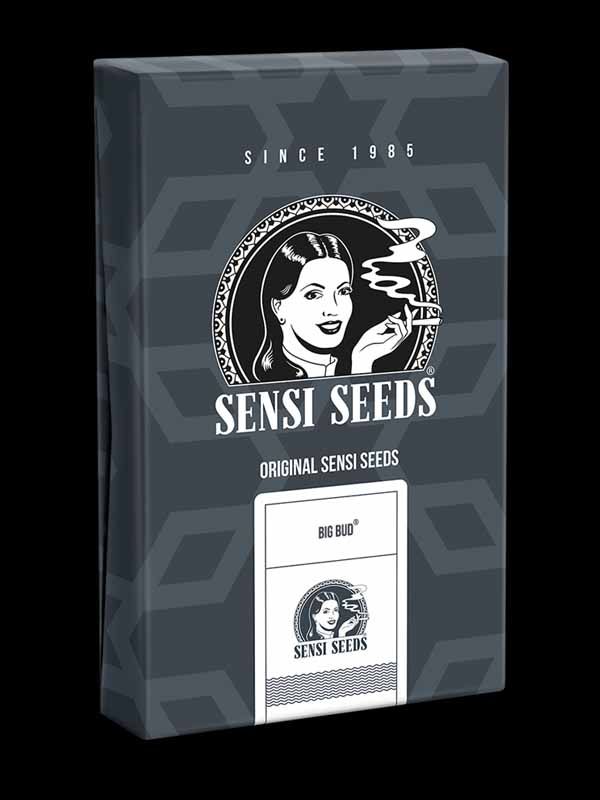 Big Bud Automatic Sensi Seeds Paket