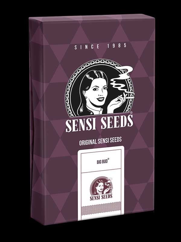 Big Bud Sensi Seeds Paket