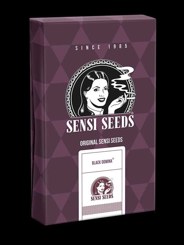 Black Domina Sensi Seeds Paket
