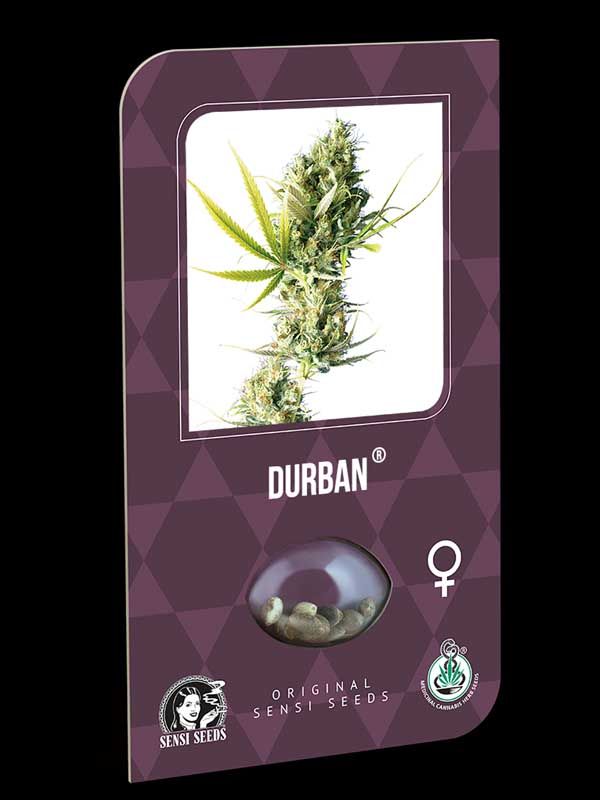 Durban Sensi Seeds Nasiona
