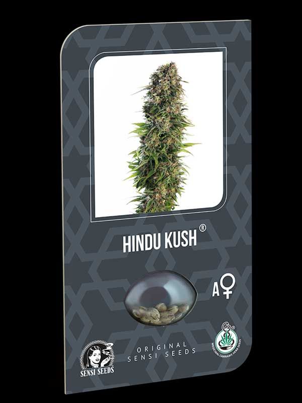 Hindu Kush Automatic Sensi Seeds Nasiona