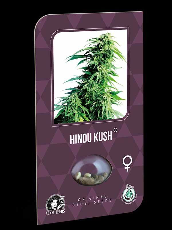 Hindu Kush Sensi Seeds Nasiona