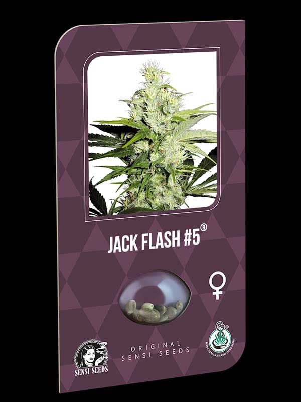 Jack Flash #5 Sensi Seeds Nasiona