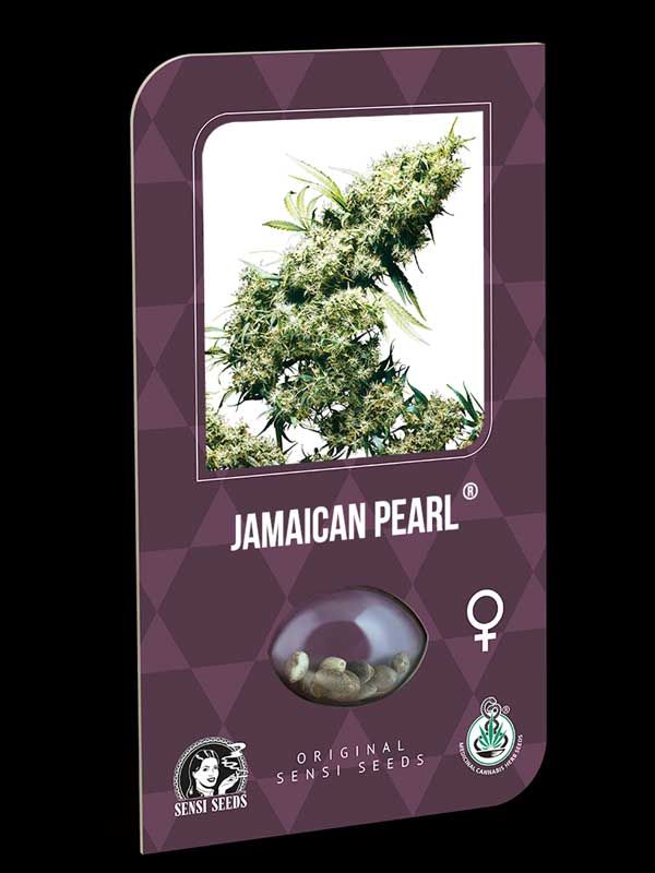 Jamaican Pearl Sensi Seeds Nasiona