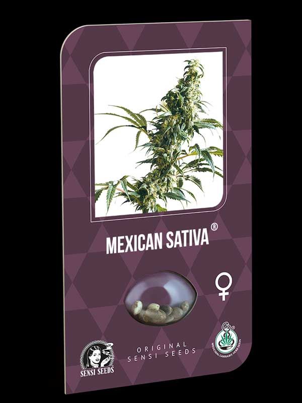 Mexican Sativa Sensi Seeds Nasiona