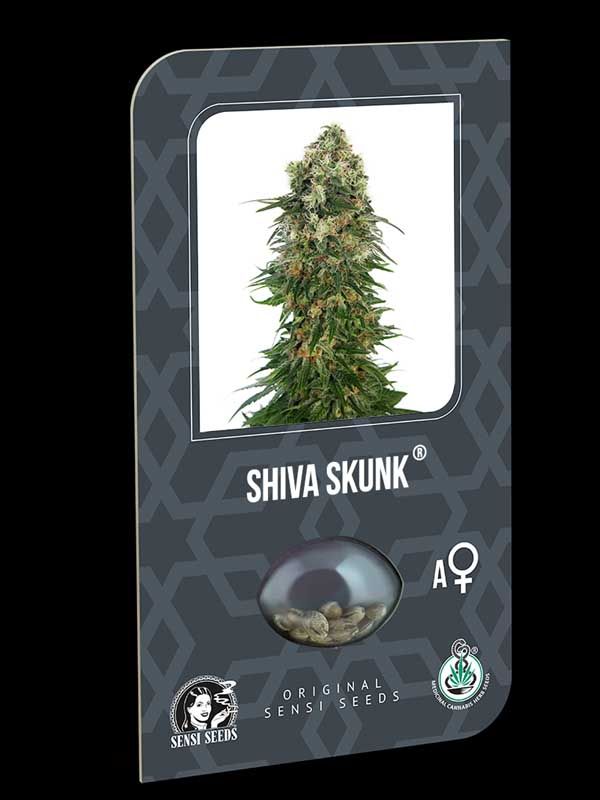 Shiva Skunk Automatic Sensi Seeds Nasiona