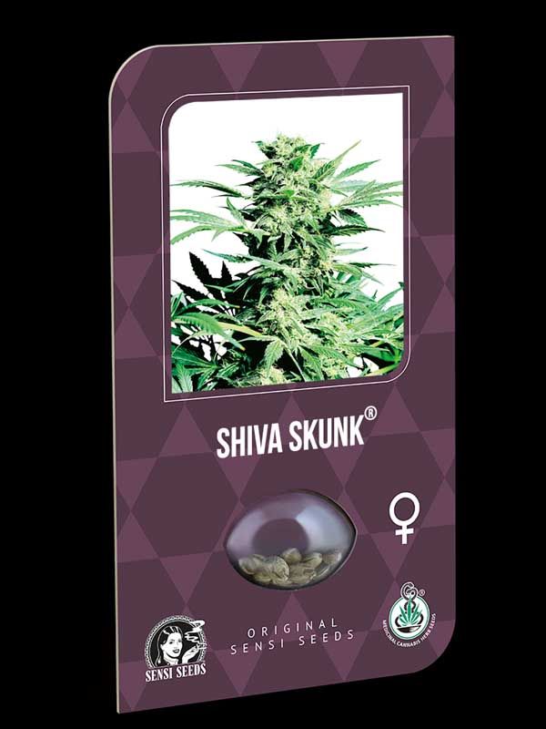 Shiva Skunk Sensi Seeds Nasiona