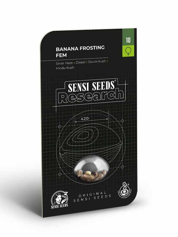 Bananenglasur Sensi Seeds Paket