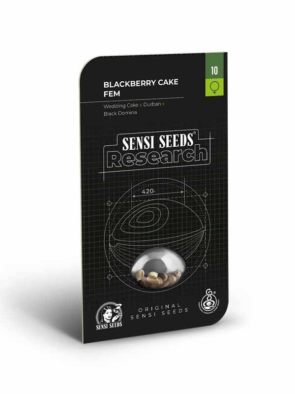 Blackberry Cake Sensi Seeds Opakowanie