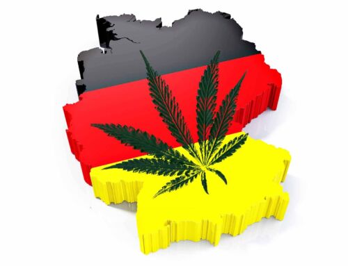 Legalizacja marihuany w Niemczech
