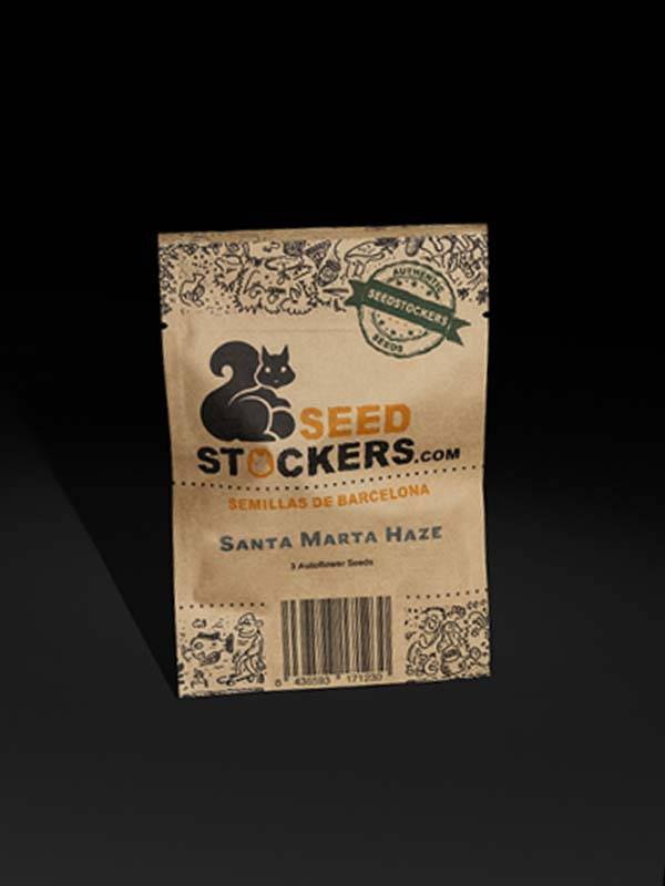 Santa marta Haze Auto - Seed Stockers Paket