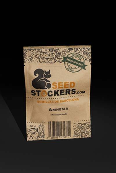 amnesia-seed stockers Paket
