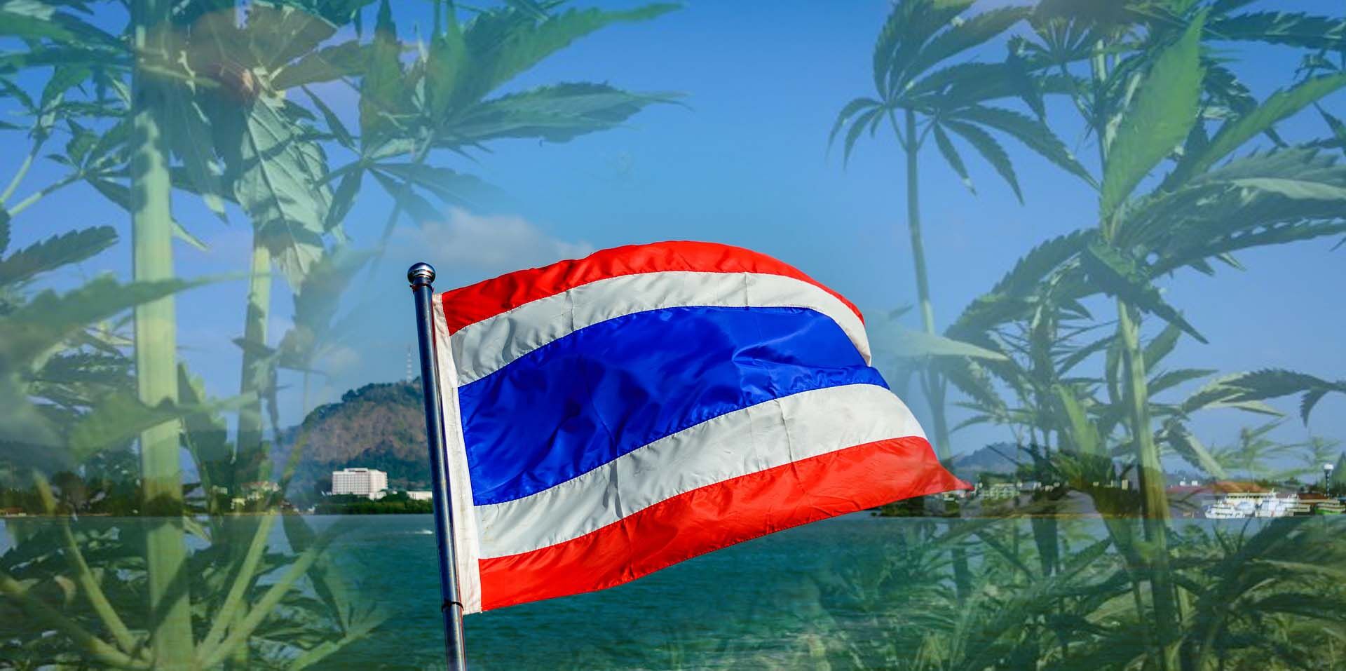Tajlandia legalizuje marihuanę