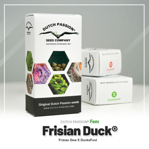 Frisian Duck nasiona marihuany Dutch passion nowe opakowanie