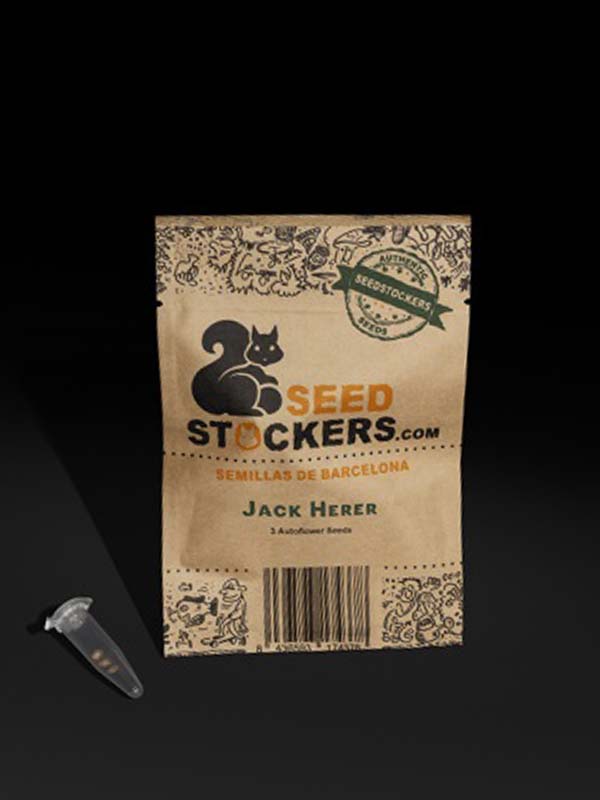 Jack Herer Auto Seed Stockers opakowanie 3szt