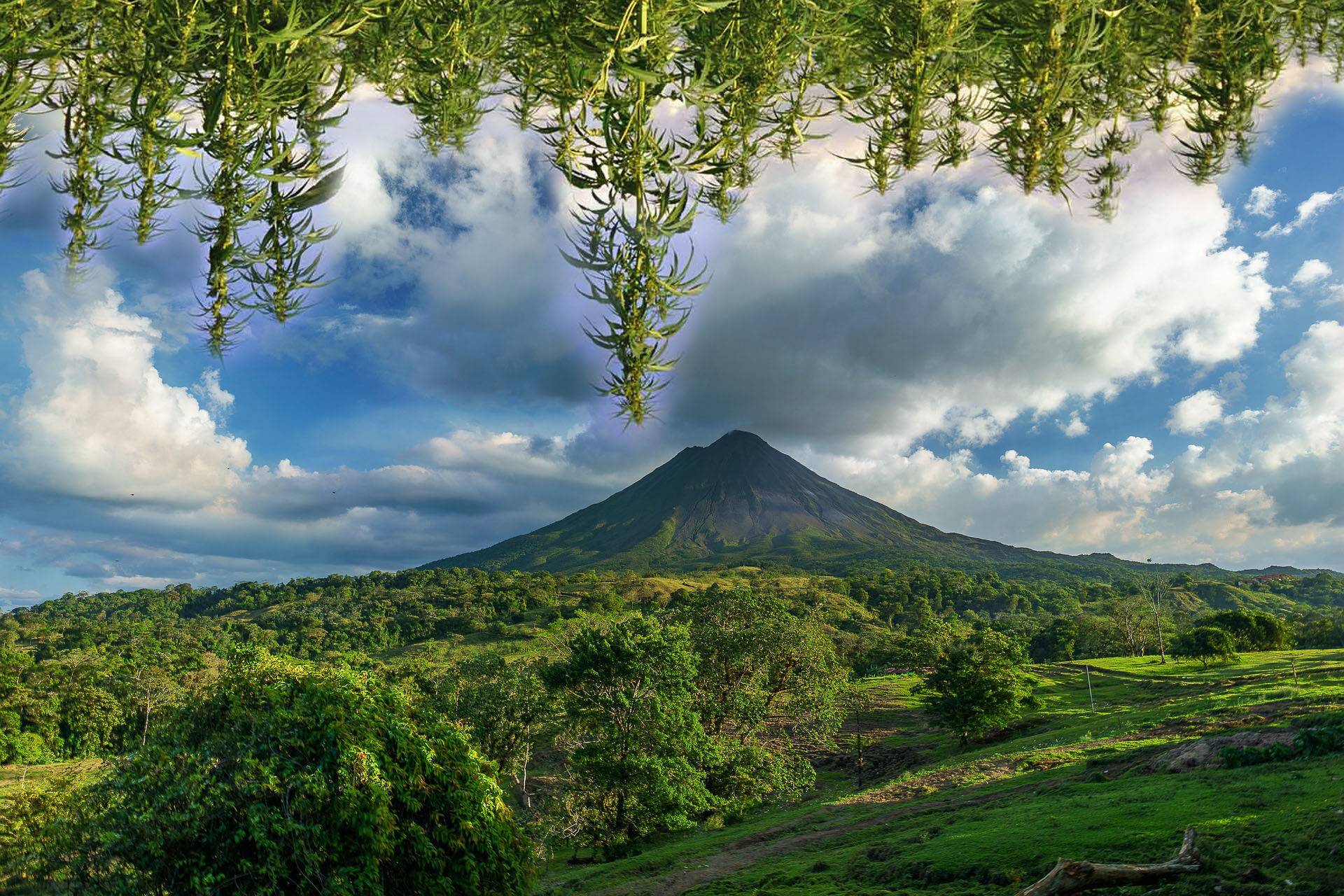 kostaryka legalizuje marihuanę medyczną