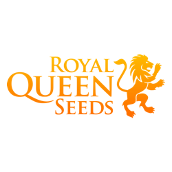 Royal Queen Seeds - nasiona marihuany szybko-kwitnące
