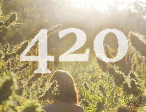 420 święto marihuany