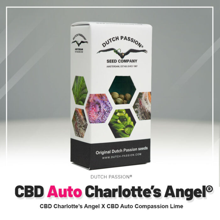 CBD-Auto-charlottes-angel-Autoflower-Dutch-Passion-nowe opakowanie