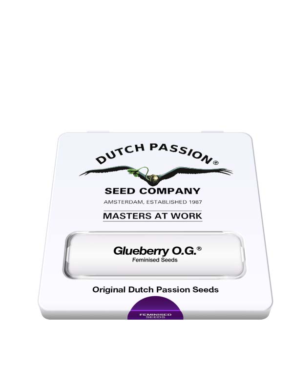 Glueberry OG Dutch Passion