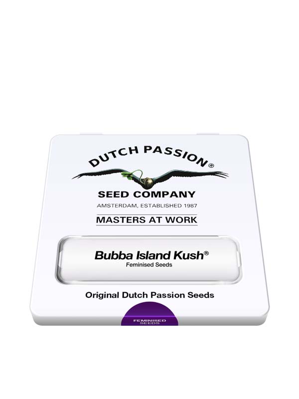 Nasiona marihuany Bubba island Kush Dutch Passion