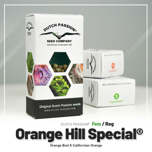 Orange Hill special oryginalne opakowanie nasion marihuany