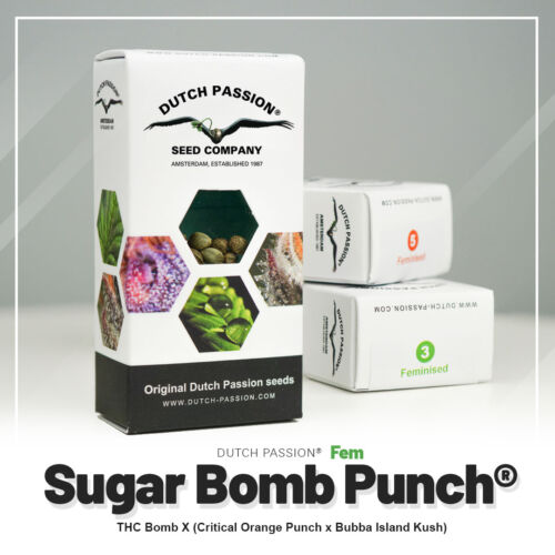Sugar Bomb Punch Dutch Passion nasiona marihuany nowe opakowanie