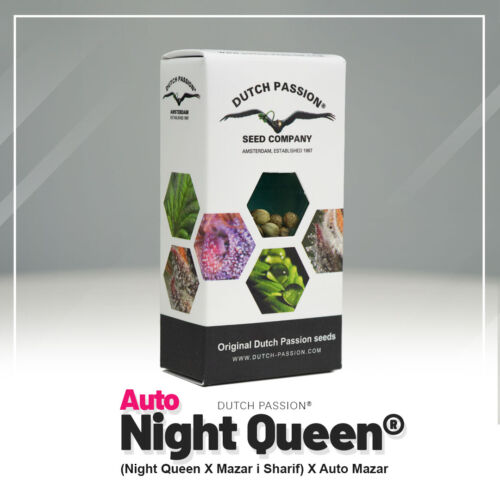 Auto-Night-Queen- Dutch Passion neue Verpackung